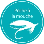 Parcours pêche à la mouche no kill de l'abbaye d'Hambye