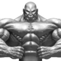 Silvogym