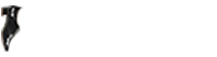 Ecole De Danse Du Trianon