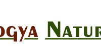 Arogya Nature Cure Naturopathy & Yoga Clinic