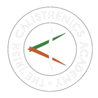 The Irish Calisthenics Academy (The I.C.A)