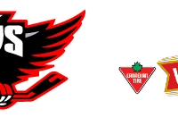 Surrey Female Hockey Association