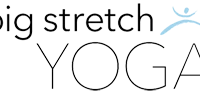 Big Stretch Yoga