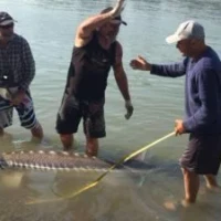 Funky Fishing Adventures