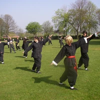 T'ai Chi (Lee Style) Classes