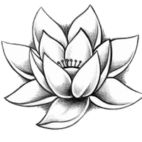 YOGA ADULTES ENFANTS MIMIZAN - Graines de yogi mimizan