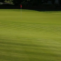The Wisley Golf Club
