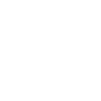 Wildfish Swim School