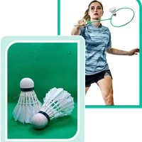 Celestials Badminton Academy