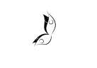 Soatoa Coach Sportif À Toulouse