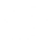 WigLe Dance CIC