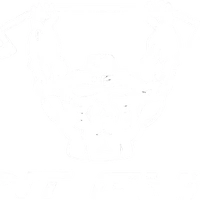 TNT Gym