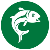 East Mayo Anglers