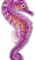 Seahorse School of Swimming