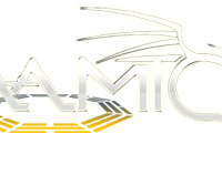 Academy Martial Arts Traditionnels Chinois - Aamtc