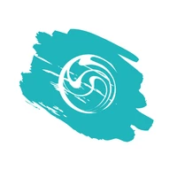 Surf School Wales
