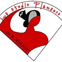 Le Studio Flamenco De Bordeaux