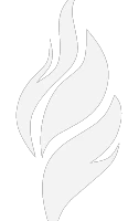 Ignite Pilates & Co