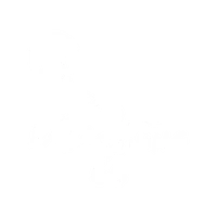 Parasailing 66
