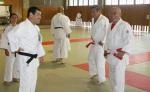 Judo Ryu