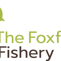 The Foxford Fishery