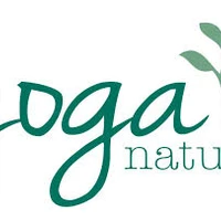 School Of Yoga 13