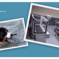 Si Beau...Sibelle... Hydrotherapie canine