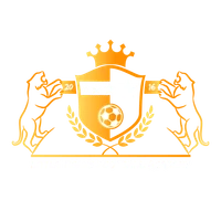 Little Tigers Football Academy (LTFA)