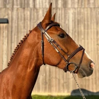 Stables Perrine Bignon