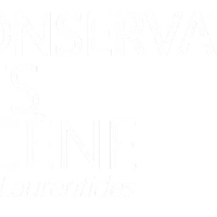 Le Conservatoire Des Arts De La Scne Des Laurentides