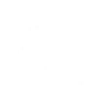 Four-Eleven Brazilian Jiu Jitsu