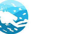 Divine Scuba