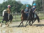 PONEY CLUB DE LA PIERRE BLEUE