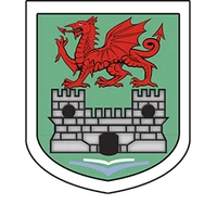 Swansea Harriers Athletics Club