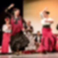 Flamenco Sunshine Coast