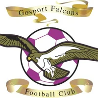 The Monckton Sports Ground Gosport Falcons FC