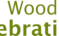 Wild Woodland Celebrations at West Ruggers Green