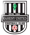 Pitch 15 Raheny United