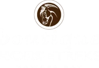 Boutique Horsetreks