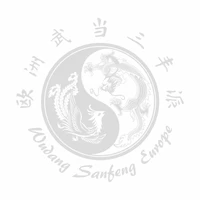 Wudang Sanfeng Europe Association Tai Chi À Blagnac