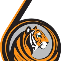 6Tigers Academy