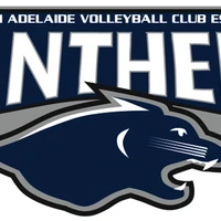 Volleyball South Australia