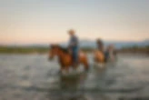 Waterton River Trail Rides Ltd.