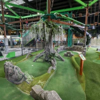 The Jungle Adventure Play
