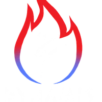 Dynamis Martial Arts Taekwondo