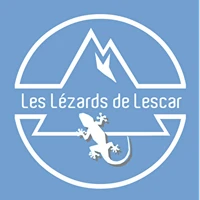 Lézards de Lescar
