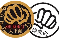 Traditional karate club