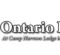 Ontario Hunting, moose, deer, bear, ducks grouse