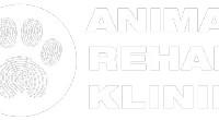 Animal Rehab Klinik