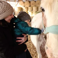 Rein In Equine Wellness Centre